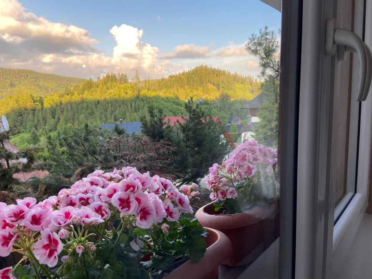 Cerla Korbielów Exteriör bild